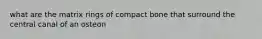 what are the matrix rings of compact bone that surround the central canal of an osteon