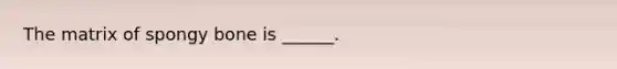 The matrix of spongy bone is ______.