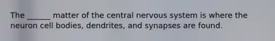 The ______ matter of the central nervous system is where the neuron cell bodies, dendrites, and synapses are found.