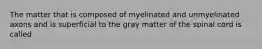 The matter that is composed of myelinated and unmyelinated axons and is superficial to the gray matter of the spinal cord is called