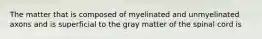 The matter that is composed of myelinated and unmyelinated axons and is superficial to the gray matter of the spinal cord is