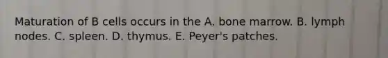 Maturation of B cells occurs in the A. bone marrow. B. lymph nodes. C. spleen. D. thymus. E. Peyer's patches.