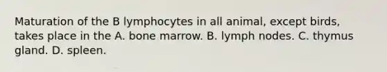 Maturation of the B lymphocytes in all animal, except birds, takes place in the A. bone marrow. B. lymph nodes. C. thymus gland. D. spleen.