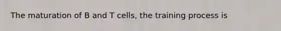 The maturation of B and T cells, the training process is