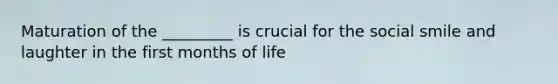 Maturation of the _________ is crucial for the social smile and laughter in the first months of life