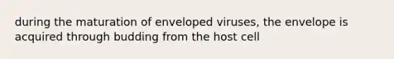 during the maturation of enveloped viruses, the envelope is acquired through budding from the host cell