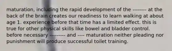 maturation, including the rapid development of the -------- at the back of the brain creates our readiness to learn walking at about age 1. experience before that time has a limited effect. this is true for other physical skills like bowel and bladder control. before necessary --------- and ---- maturation neither pleading nor punishment will produce successful toilet training.