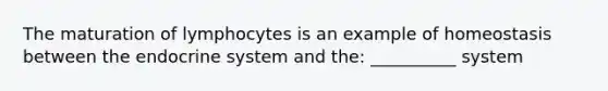 The maturation of lymphocytes is an example of homeostasis between the endocrine system and the: __________ system