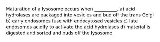 Maturation of a lysosome occurs when __________. a) acid hydrolases are packaged into vesicles and bud off the trans Golgi b) early endosomes fuse with endocytosed vesicles c) late endosomes acidify to activate the acid hydrolases d) material is digested and sorted and buds off the lysosome