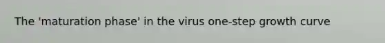 The 'maturation phase' in the virus one-step growth curve