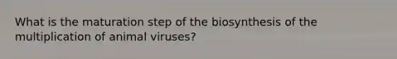 What is the maturation step of the biosynthesis of the multiplication of animal viruses?