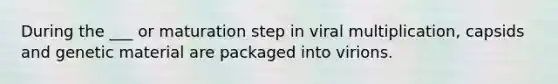 During the ___ or maturation step in viral multiplication, capsids and genetic material are packaged into virions.