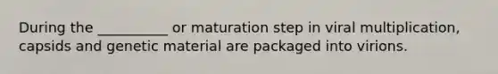 During the __________ or maturation step in viral multiplication, capsids and genetic material are packaged into virions.