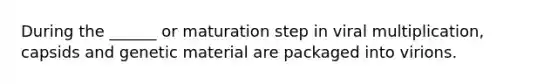 During the ______ or maturation step in viral multiplication, capsids and genetic material are packaged into virions.