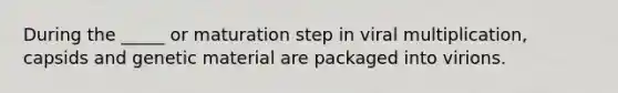 During the _____ or maturation step in viral multiplication, capsids and genetic material are packaged into virions.