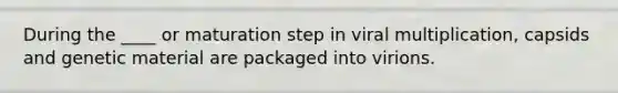 During the ____ or maturation step in viral multiplication, capsids and genetic material are packaged into virions.