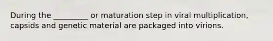 During the _________ or maturation step in viral multiplication, capsids and genetic material are packaged into virions.