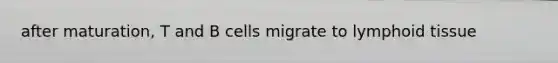 after maturation, T and B cells migrate to lymphoid tissue