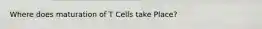 Where does maturation of T Cells take Place?