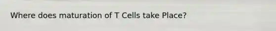 Where does maturation of T Cells take Place?