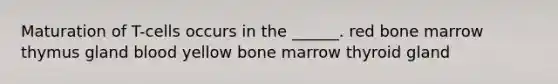 Maturation of T-cells occurs in the ______. red bone marrow thymus gland blood yellow bone marrow thyroid gland