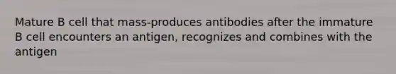 Mature B cell that mass-produces antibodies after the immature B cell encounters an antigen, recognizes and combines with the antigen