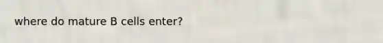where do mature B cells enter?