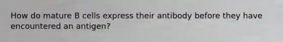 How do mature B cells express their antibody before they have encountered an antigen?