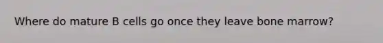 Where do mature B cells go once they leave bone marrow?