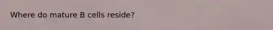 Where do mature B cells reside?