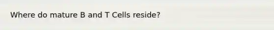 Where do mature B and T Cells reside?