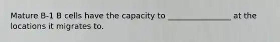 Mature B-1 B cells have the capacity to ________________ at the locations it migrates to.