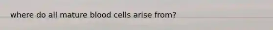 where do all mature blood cells arise from?