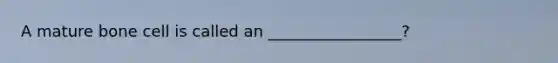 A mature bone cell is called an _________________?