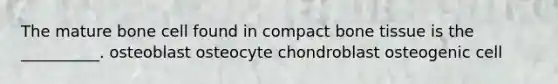 The mature bone cell found in compact bone tissue is the __________. osteoblast osteocyte chondroblast osteogenic cell