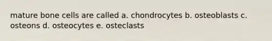 mature bone cells are called a. chondrocytes b. osteoblasts c. osteons d. osteocytes e. osteclasts