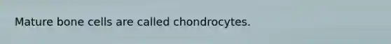 Mature bone cells are called chondrocytes.