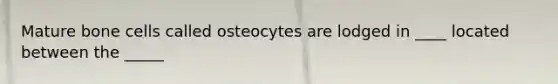 Mature bone cells called osteocytes are lodged in ____ located between the _____