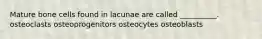 Mature bone cells found in lacunae are called __________. osteoclasts osteoprogenitors osteocytes osteoblasts