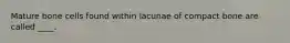Mature bone cells found within lacunae of compact bone are called ____.