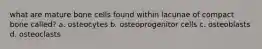 what are mature bone cells found within lacunae of compact bone called? a. osteocytes b. osteoprogenitor cells c. osteoblasts d. osteoclasts