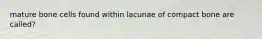 mature bone cells found within lacunae of compact bone are called?