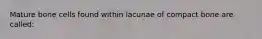 Mature bone cells found within lacunae of compact bone are called: