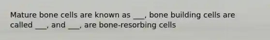 Mature bone cells are known as ___, bone building cells are called ___, and ___, are bone-resorbing cells