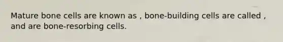 Mature bone cells are known as , bone-building cells are called , and are bone-resorbing cells.