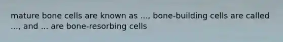 mature bone cells are known as ..., bone-building cells are called ..., and ... are bone-resorbing cells