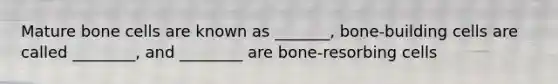 Mature bone cells are known as _______, bone-building cells are called ________, and ________ are bone-resorbing cells