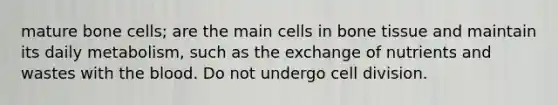 mature bone cells; are the main cells in bone tissue and maintain its daily metabolism, such as the exchange of nutrients and wastes with the blood. Do not undergo cell division.