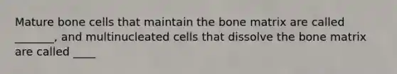 Mature bone cells that maintain the bone matrix are called _______, and multinucleated cells that dissolve the bone matrix are called ____