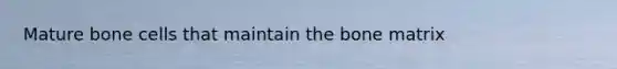 Mature bone cells that maintain the bone matrix